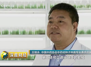 [深度財經(jīng)]種植技術的重大突破利于