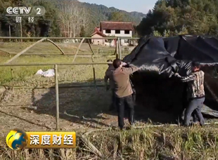 《深度財經(jīng)》20181124中藥材：健康產(chǎn)