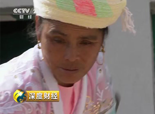 [深度財經(jīng)]種植中藥材白及收入提高